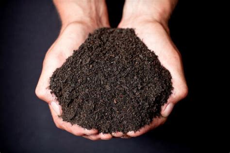 cheap topsoil in my area